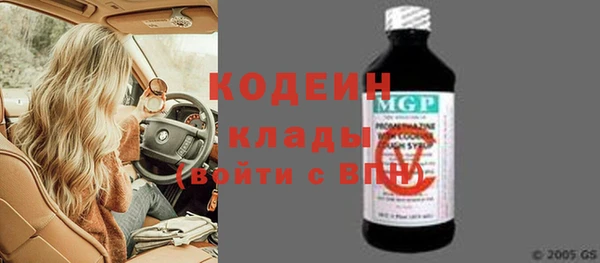 прущие грибы Гусев