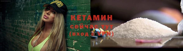 прущие грибы Гусев