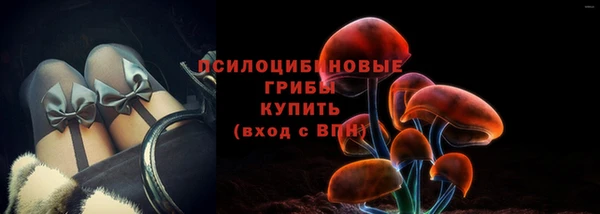 мдпв Слюдянка