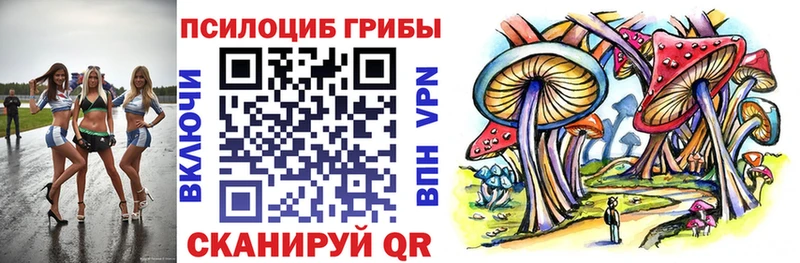 Псилоцибиновые грибы прущие грибы  darknet состав  мега зеркало  Дальнереченск  купить  сайты 